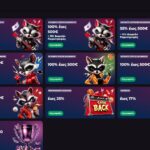 Rockyspin Casino Μπόνους