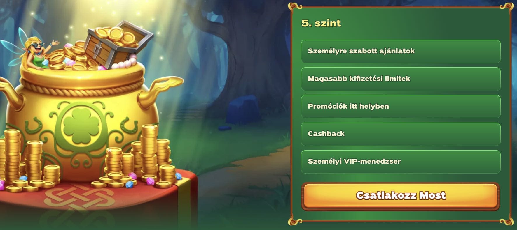 VIP program