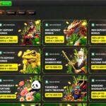 Asino casino bonuses